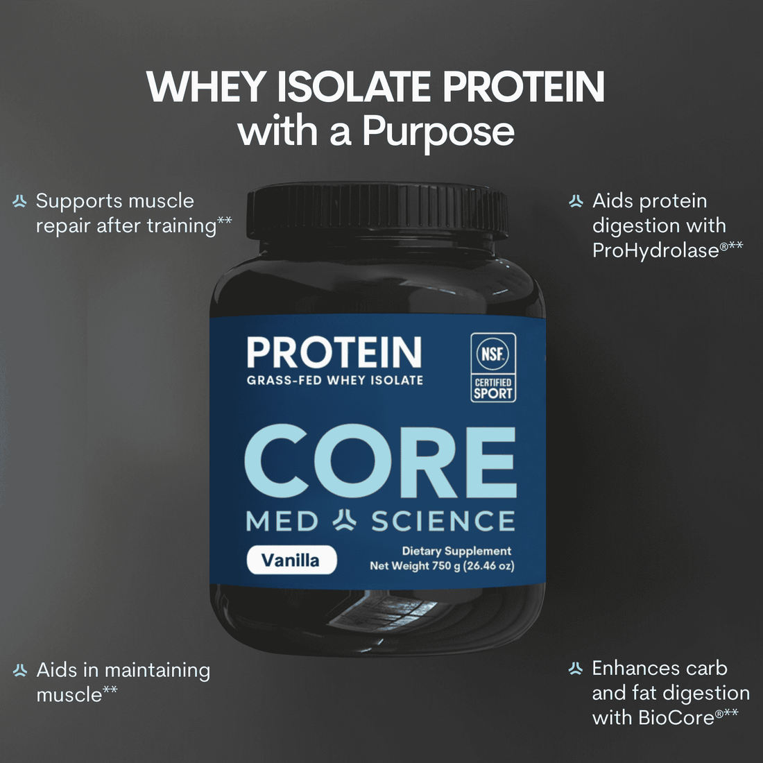 Vanilla Whey Protein Isolate Powder for Fitness Nutrition