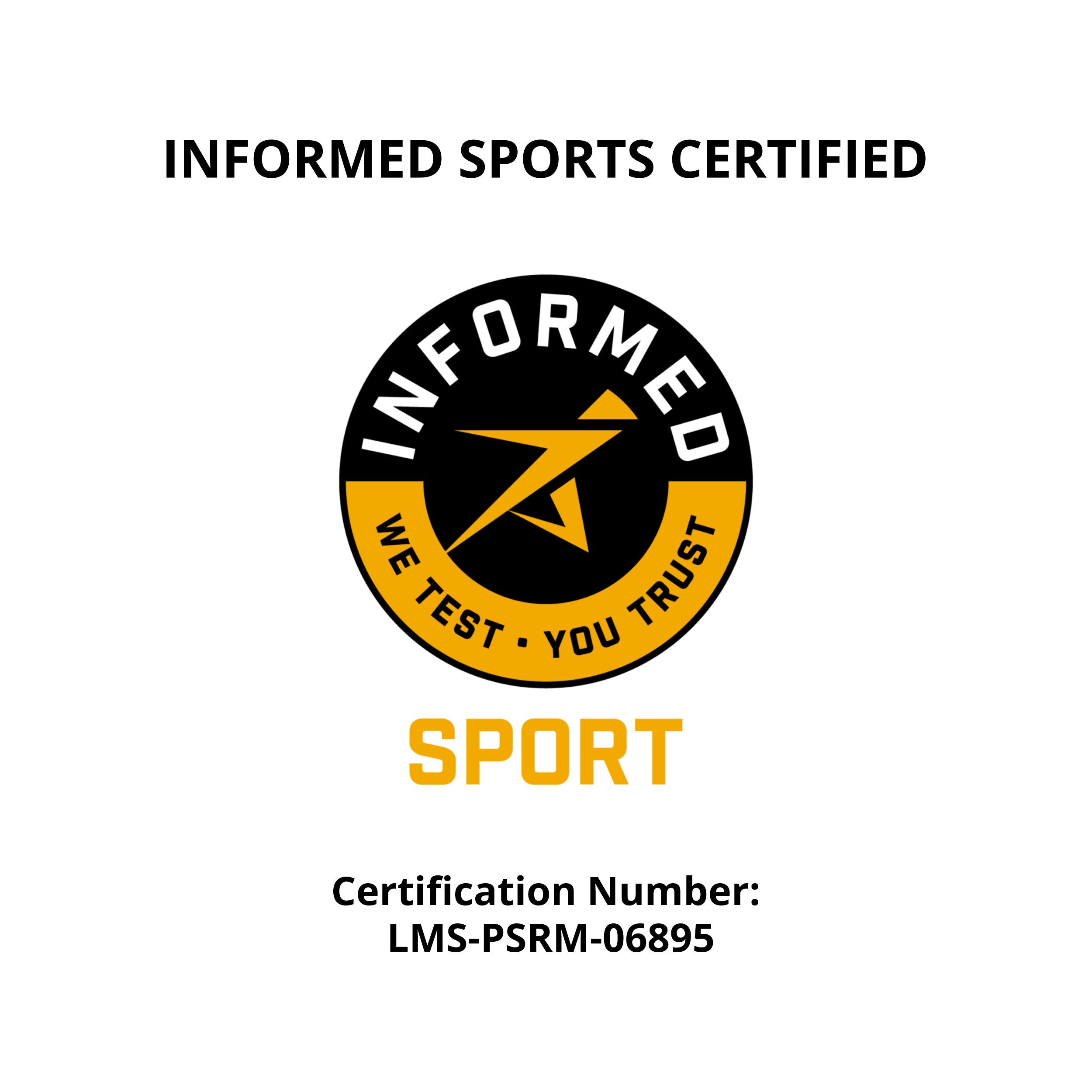 Plant Based Sport Protein for Fitness and Workouts