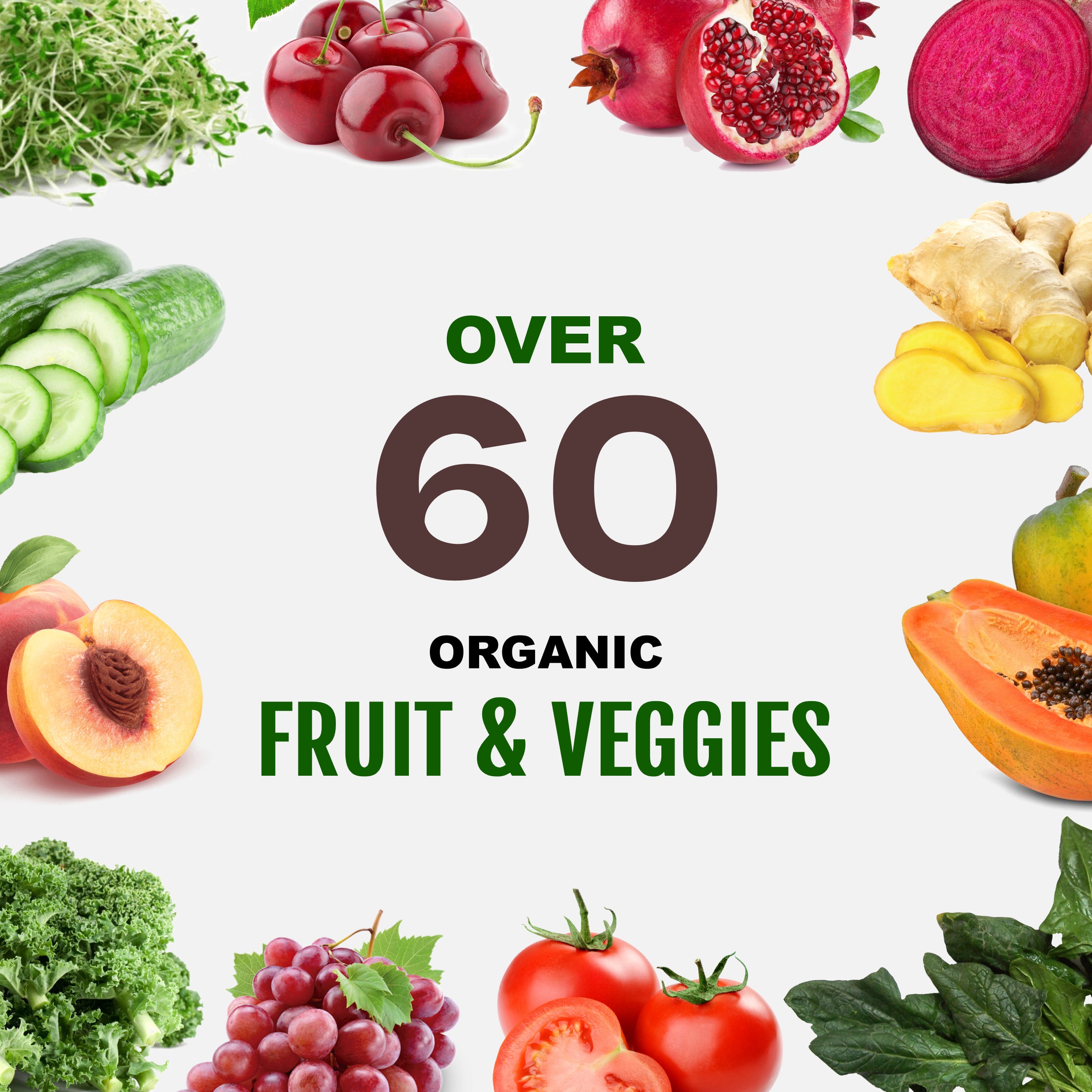 Plant Based Sport Protein for Fitness and Workouts