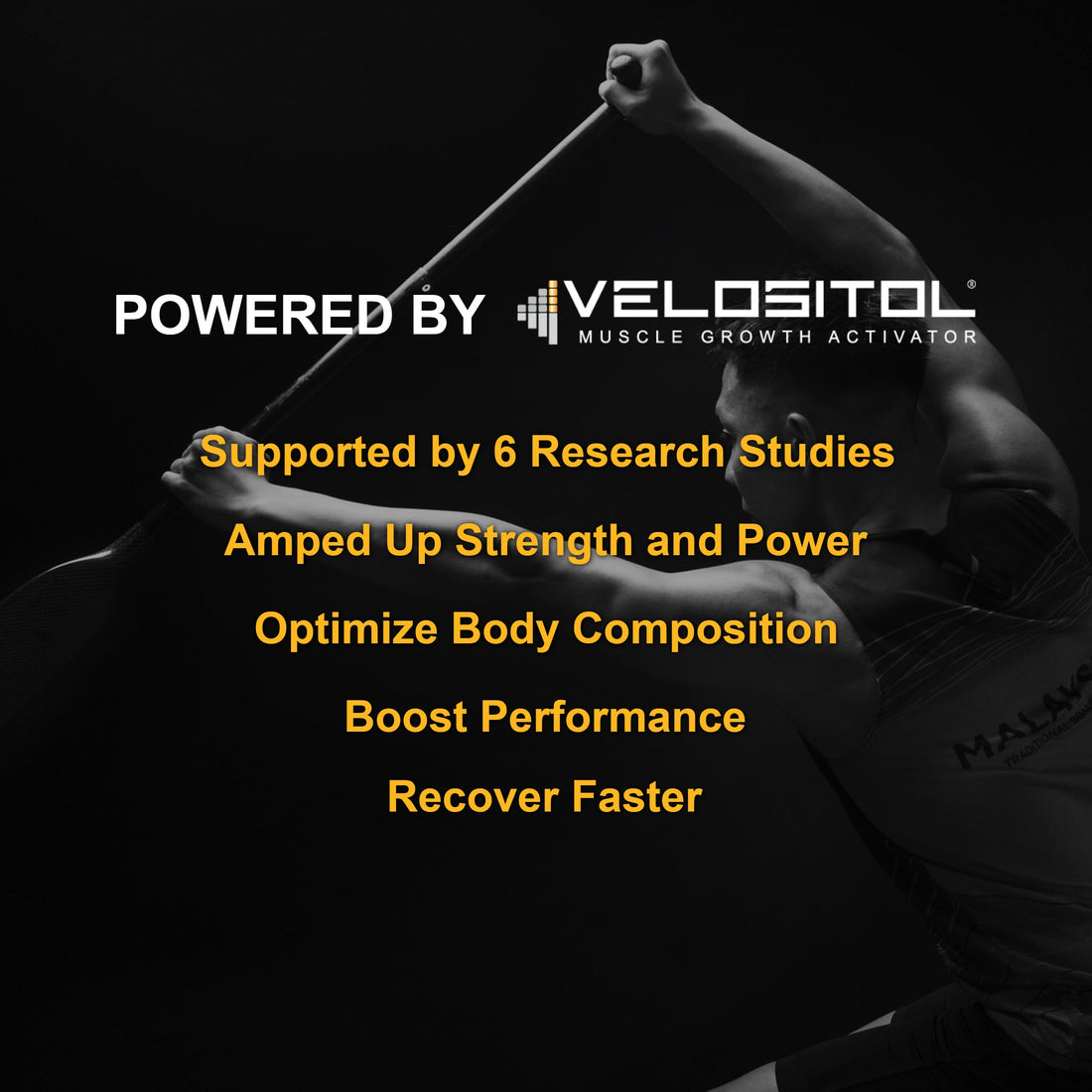 Plant Based Sport Protein for Fitness and Workouts