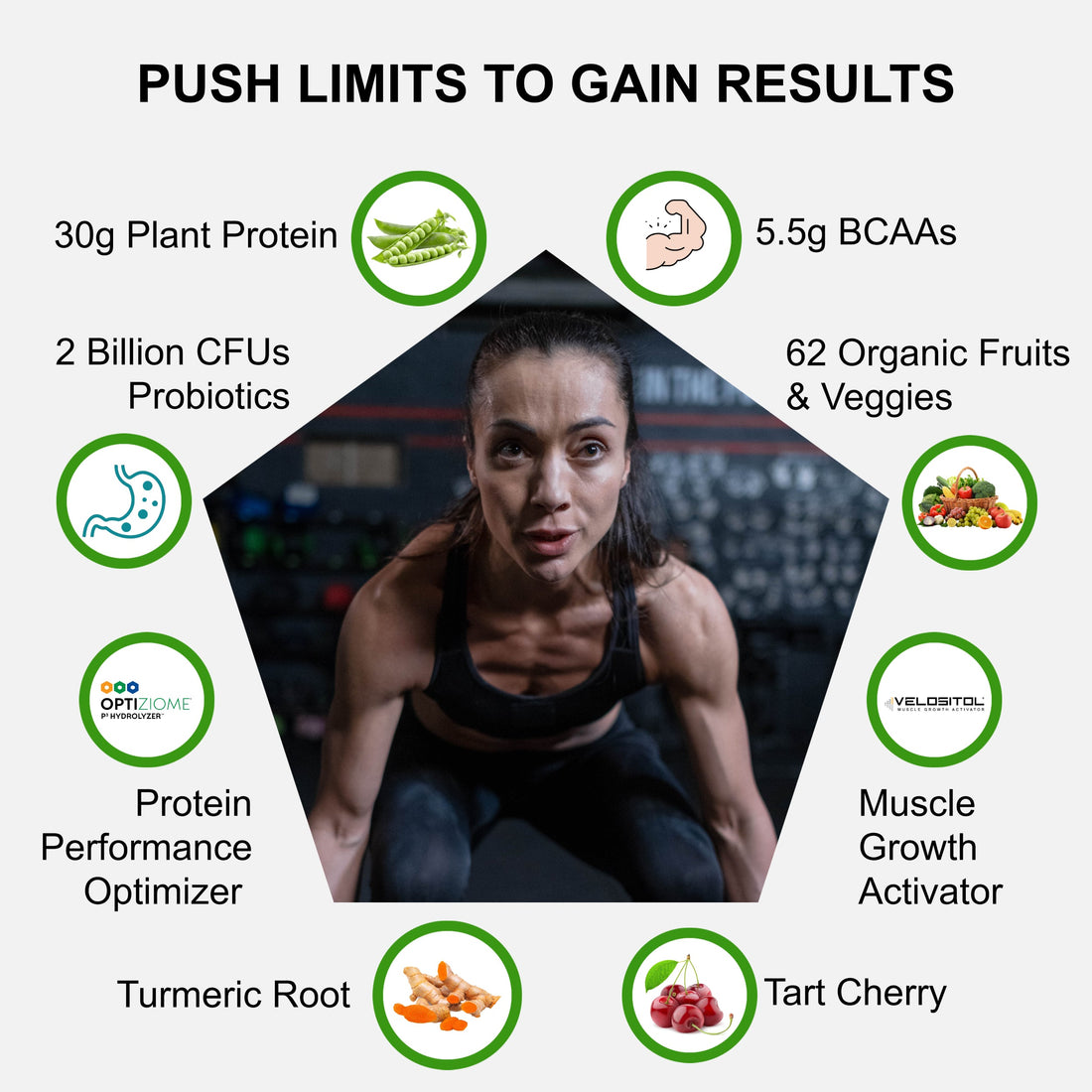 Plant Based Sport Protein for Fitness and Workouts